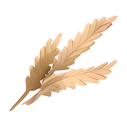 Wheat
