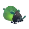 Lantern bug
